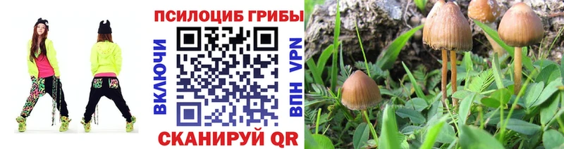 мега ONION  Орск  Псилоцибиновые грибы мухоморы 