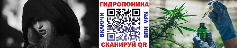 купить наркотик  Орск  Каннабис SATIVA & INDICA 